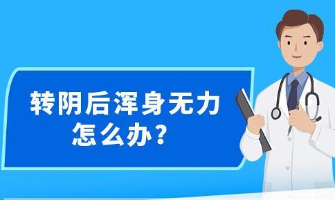 新澳精准资料免费提供生肖版,警惕虚假信息陷阱，关于新澳精准资料免费提供生肖版的警示