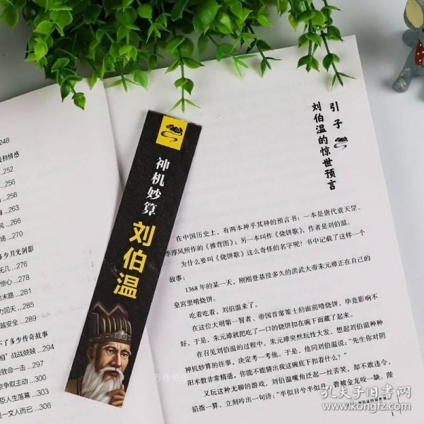 刘伯温一肖一码资料大公开,揭秘刘伯温一肖一码资料大公开，历史传奇与智慧结晶