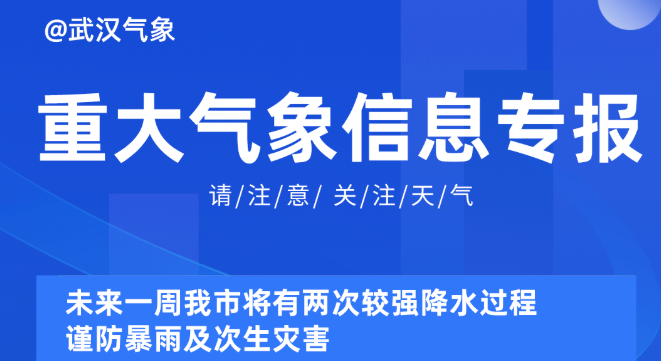 新奥精准资料免费提供630期,新奥精准资料免费提供630期，深度解析与前瞻性预测