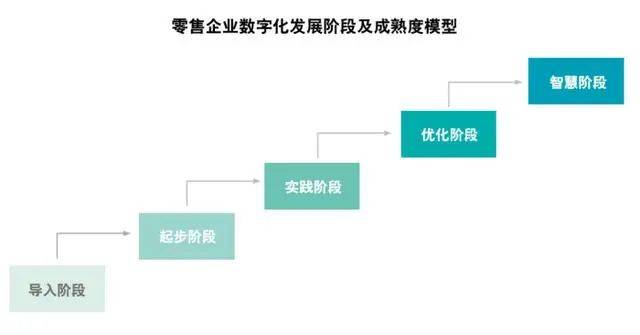 新管家婆一肖六码,新管家婆一肖六码，探索智能科技在供应链管理中的革新应用