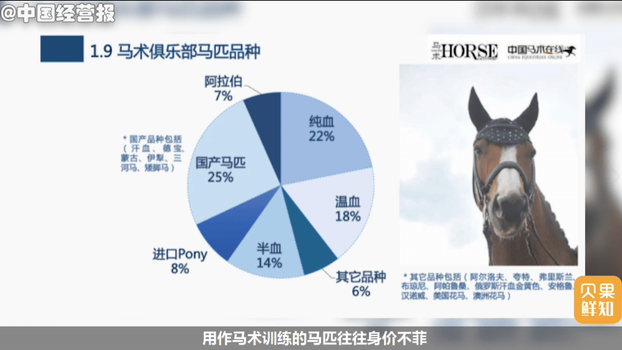 2025澳门特马今晚开网站,澳门特马今晚开网站——探索未来的虚拟彩票世界