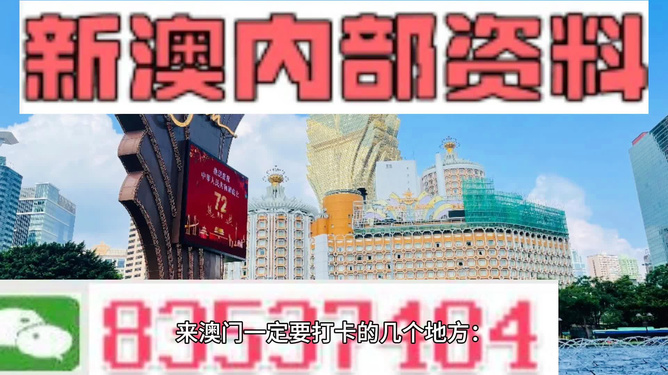 新澳门4949正版大全,新澳门4949正版大全，探索数字世界的奥秘与魅力