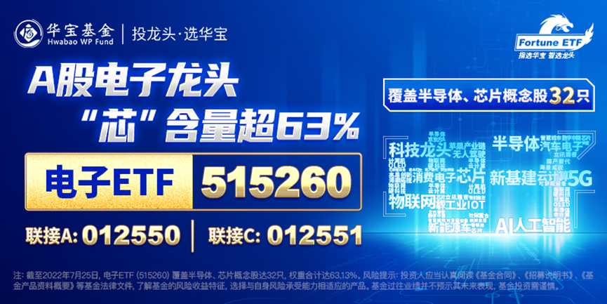 新澳2025正版资料免费公开新澳金牌解密,新澳2025正版资料免费公开，新澳金牌解密之路